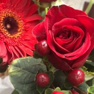 Meet your Posher, Claudia